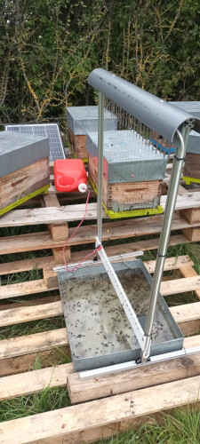 harpe électrique anti frelon asiatique