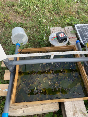 harpe électrique anti frelon asiatique