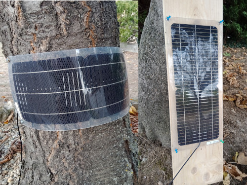 panneau solaire sur un arbre